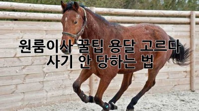 원룸이사 꿀팁🍯 용달 고르다 사기 안 당하는 법!🚨