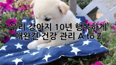 우리 강아지, 10년 행복하게! 애완견 건강 관리 A to Z