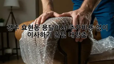 경주 효현동 용달이사, 추가비용 없이 이사하기! 꿀팁 대방출